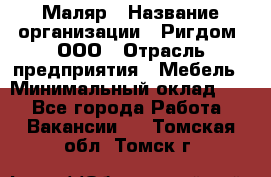 Маляр › Название организации ­ Ригдом, ООО › Отрасль предприятия ­ Мебель › Минимальный оклад ­ 1 - Все города Работа » Вакансии   . Томская обл.,Томск г.